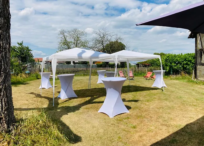Farm stay Corps De Ferme - Evenements