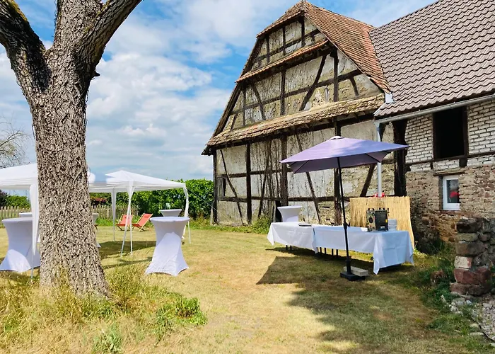 Farm stay Corps De Ferme - Evenements